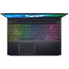 Acer Predator Helios 300 PH315
