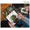 تبلت سامسونگ مدل Galaxy Tab A9 Plus SM-X216 5G با حافظه 64 گیگابایت رم 4 گیگابایت (چین)
