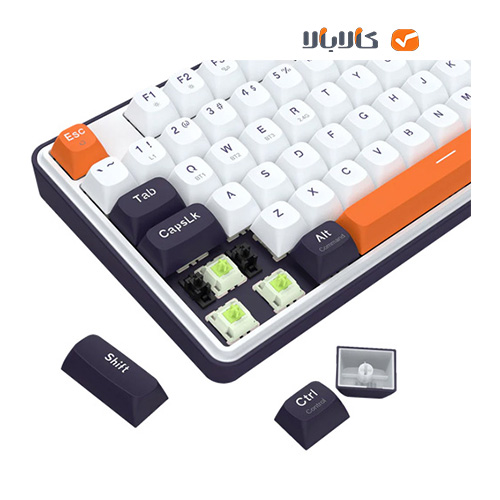 - تصویر در دستهبندی - کالای فروشگاه کالابالا خرید صفحه کلید بیسیم/باسیم ردراگون مدل wyvern pro k689wbo-rgb-pro • سوئیچ سبز با قیمت مناسب